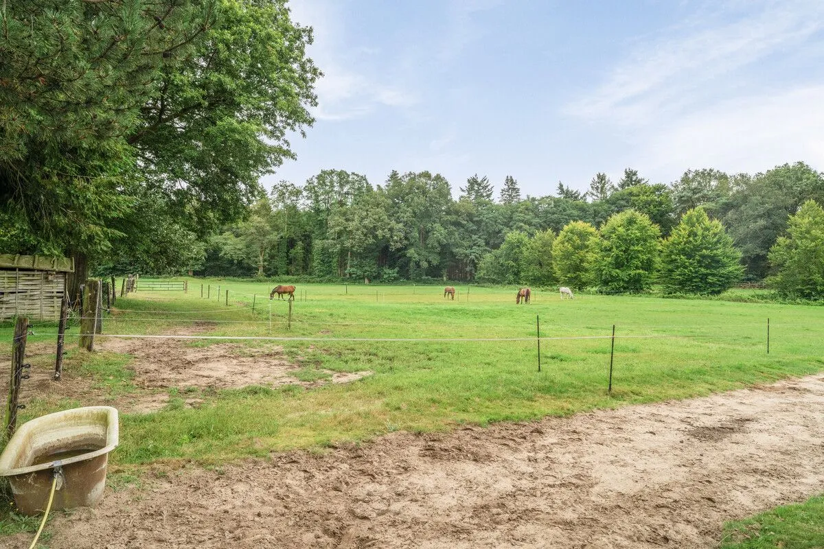 Veelbelovend paardenbedrijf met woonboerderij